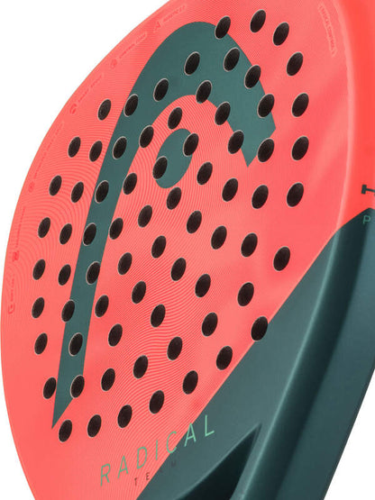 Head Radical Team 2026